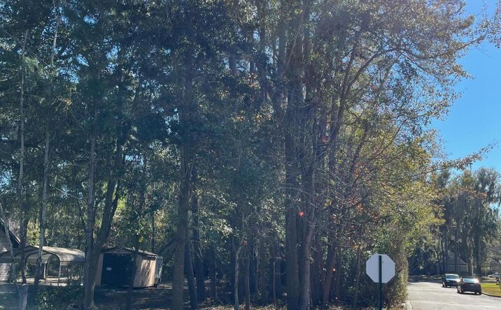 Pictures of Multifamily, Mixed Use property located at 2302 Southside Boulevard #A, Beaufort, SC 29902 for sales - image #1