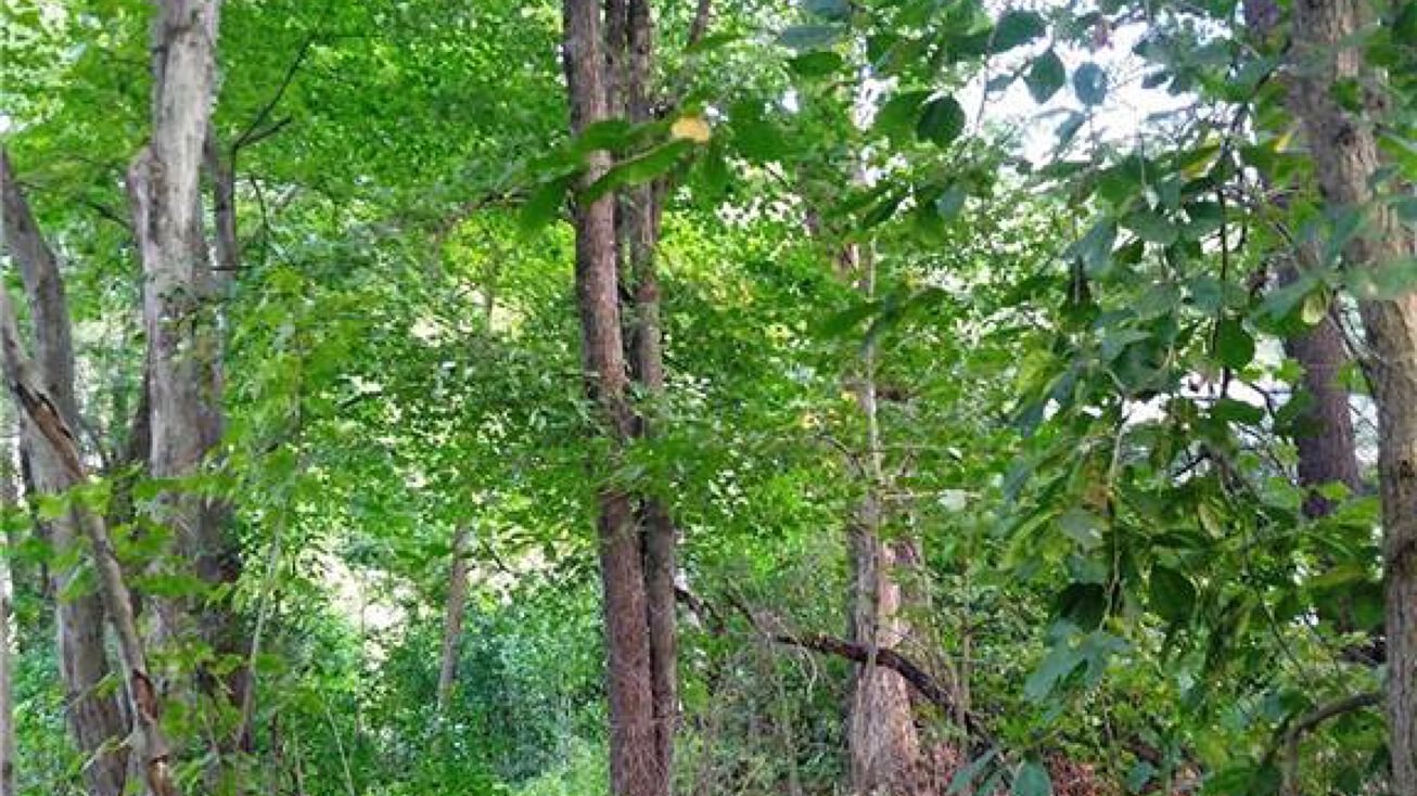 240 Foster Rd, South Windsor, CT 06074