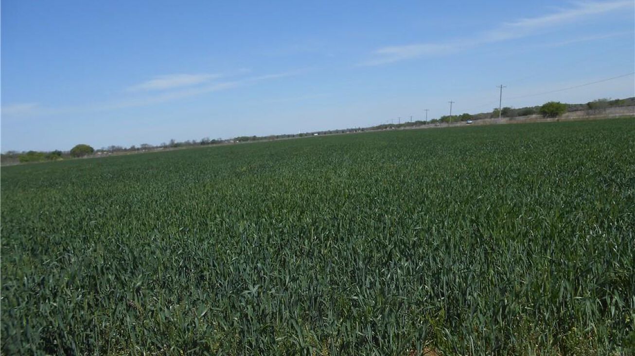 14716 N 77 HIGHWAY, Pauls Valley, OK 73075 Land for Sale 14716 N 77