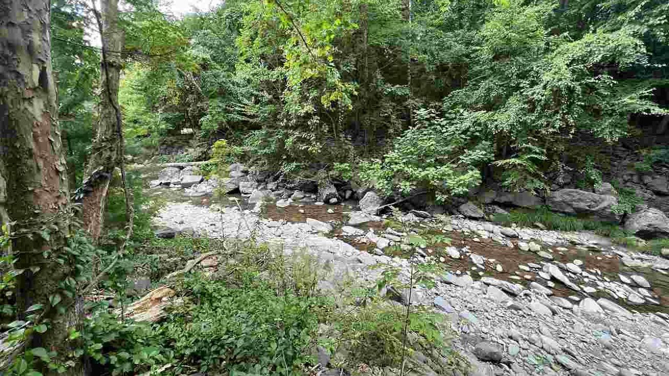 0 NY212, Bearsville, NY 12409