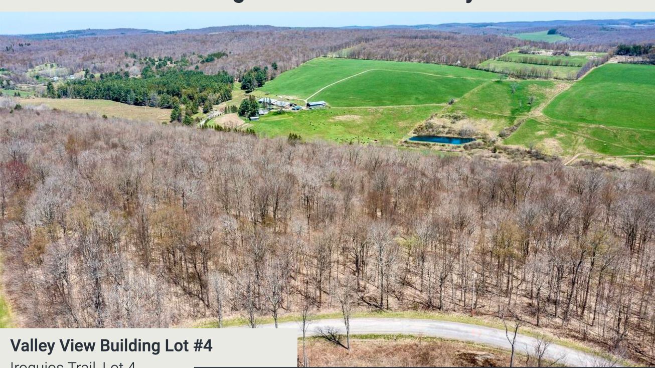 Iroquios Trail, Lot 4, Walton, NY 13856 Land for Sale Valley View