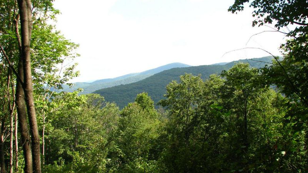 Log Cabin Ln, mountain, TN 37687