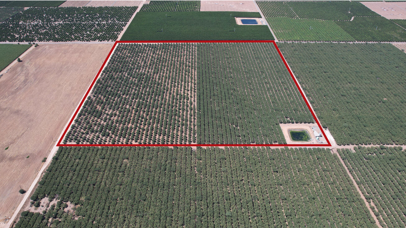 Ave 92, Terra Bella, CA 93270