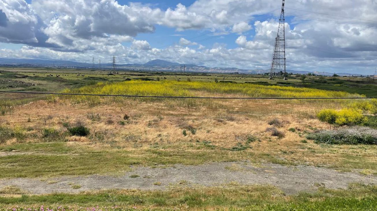 Sherman Island East Levee Rd, Rio Vista, CA 94571 Land for Sale