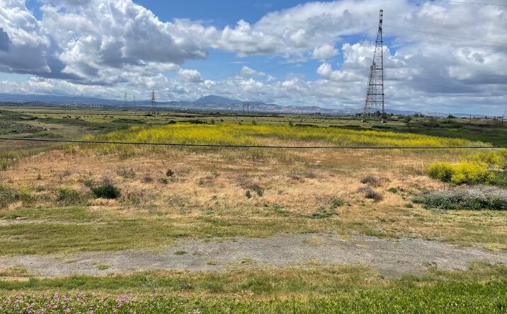 Pictures of Land property located at Sherman Island East Levee Rd, Rio Vista, CA 94571 for sales - image #1