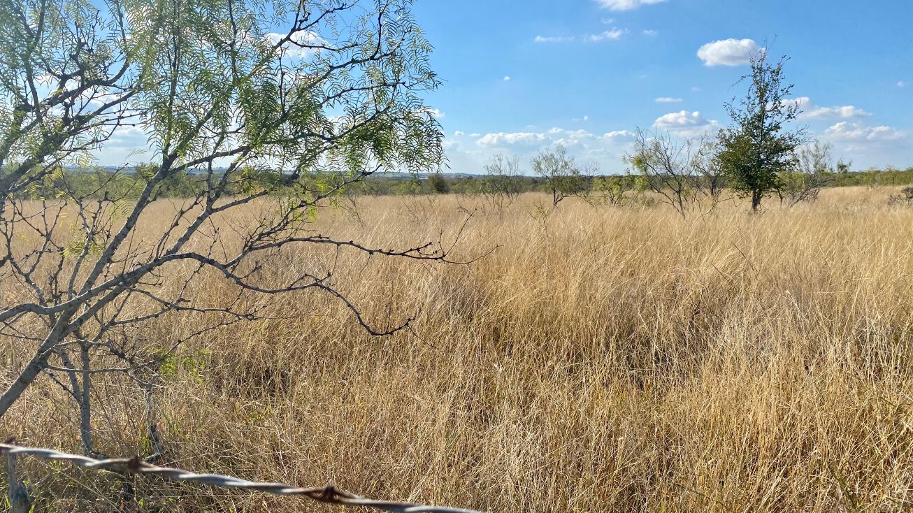 002 Sandy Ridge Rd, Rogers, TX 76569