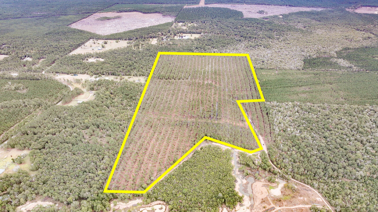 Cherry Hill Rd, Kountze, TX 77625 Land for Sale 110 Acres Cherry