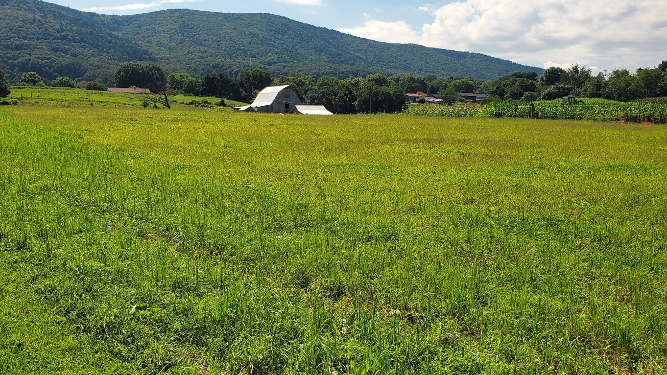 7679 Sanderson Dr, Roanoke, VA 24019