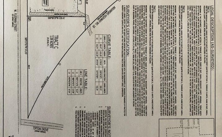 Pictures of Special Purpose, Land property located at 1 Fleeman, Manila, AR 72442 for sales - image #1
