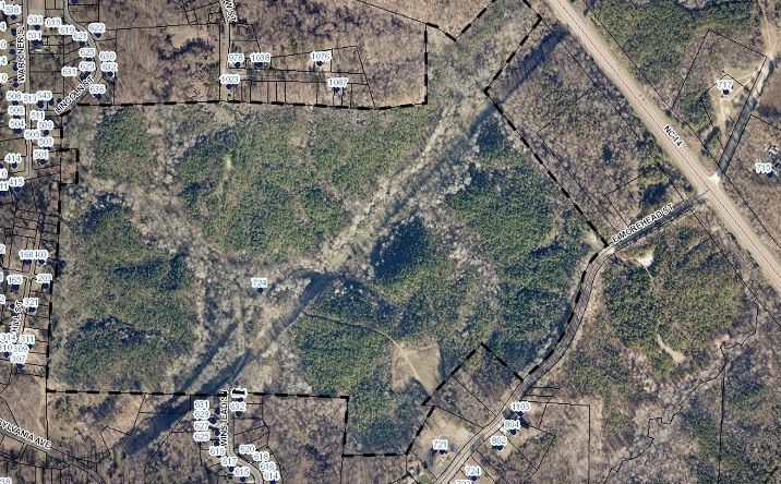 Pictures of Land property located at E Morehead St, Reidsville, NC 27320 for sales - image #1