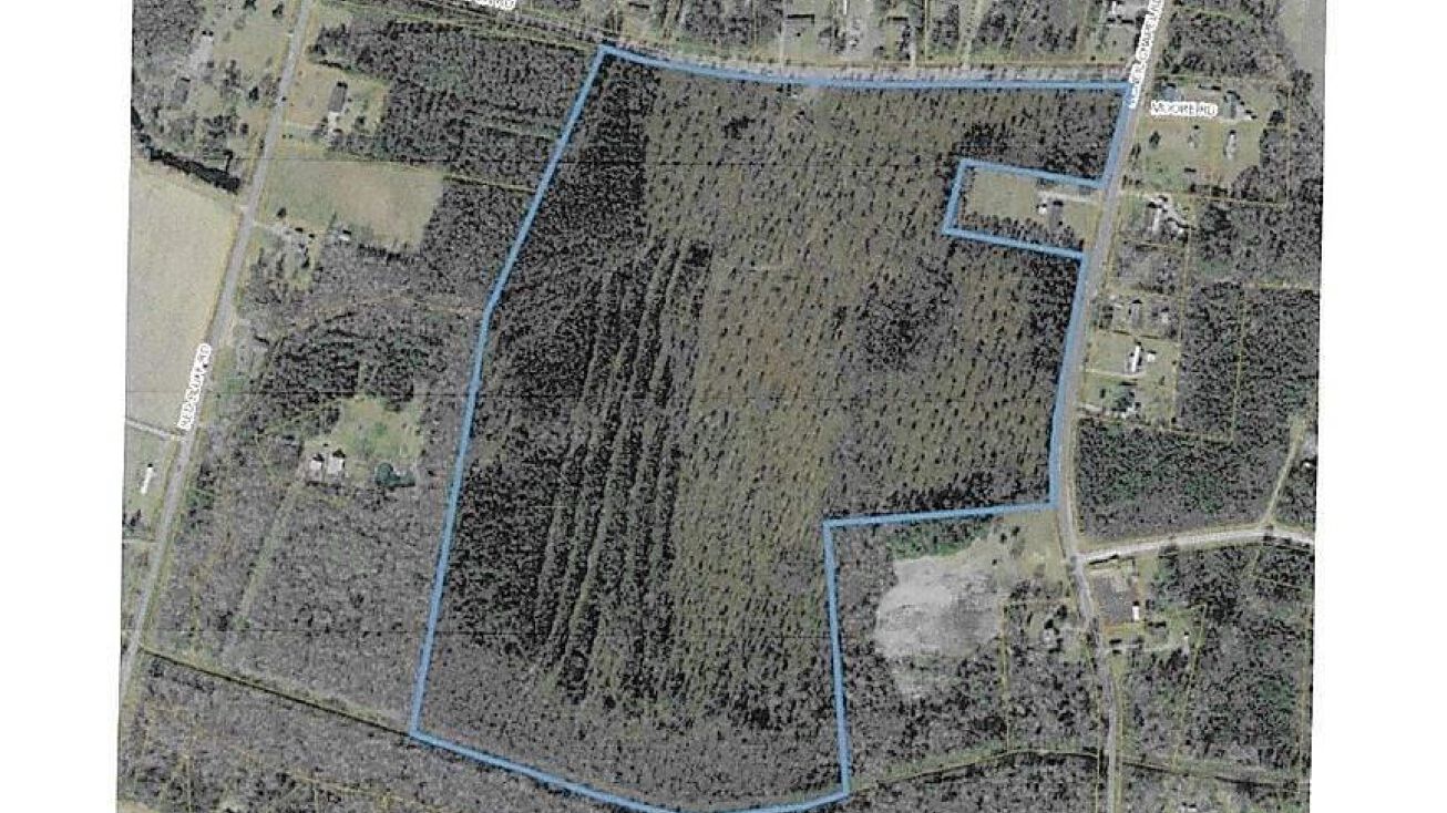 TBD McNeil Chapel Rd, Conway, SC 29526