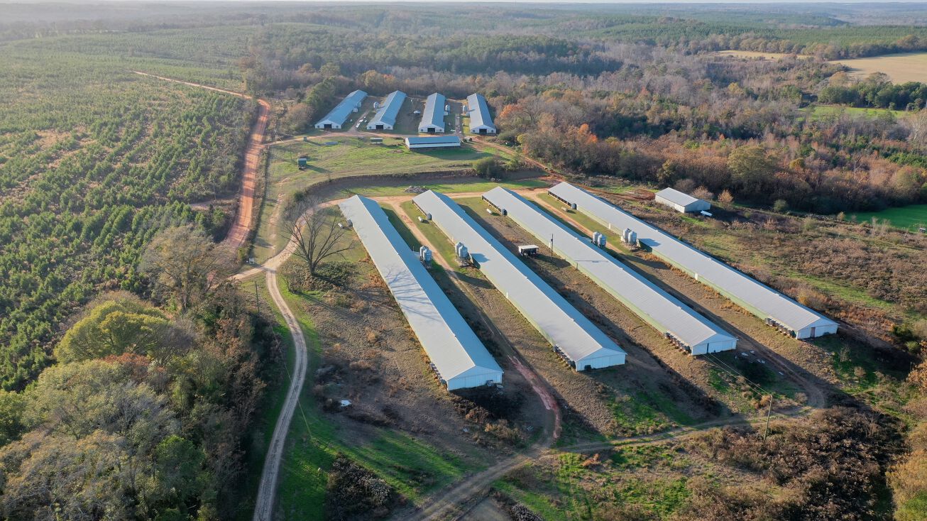 8191 Petrey Hwy, Luverne, AL 36049 Land for Sale Bowen Poultry Farm