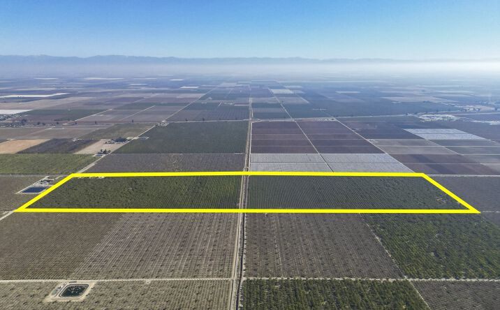 Pictures of Land property located at Rd 128, Earlimart, CA 93219 for sales - image #1