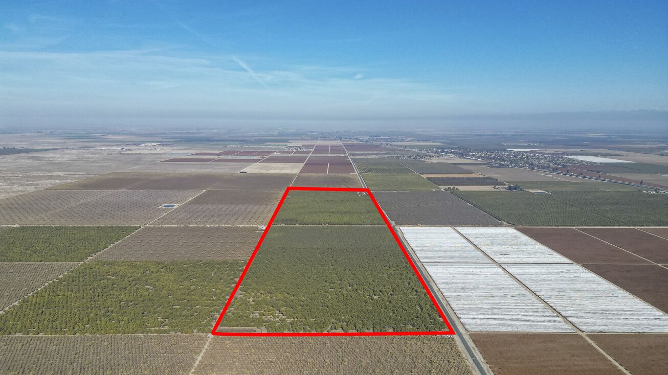 Rd 128, Earlimart, CA 93219 Land for Sale +/160 Ac. Almonds, Earlimart