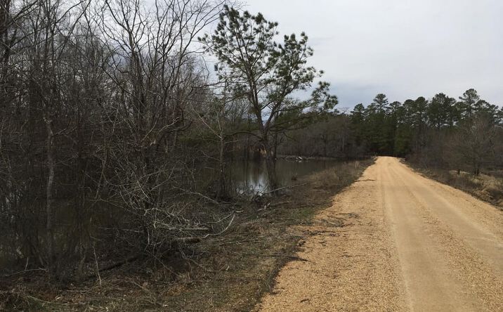 Pictures of Land property located at Ashley Hardwood 79, Crossett, AR 71635 for sales - image #1