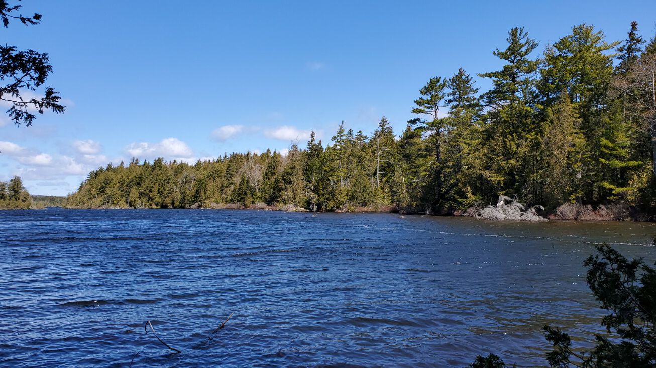 End Smith Cove Road Ext Cathance TWp Me 04657, Cathance Twp, ME 04657