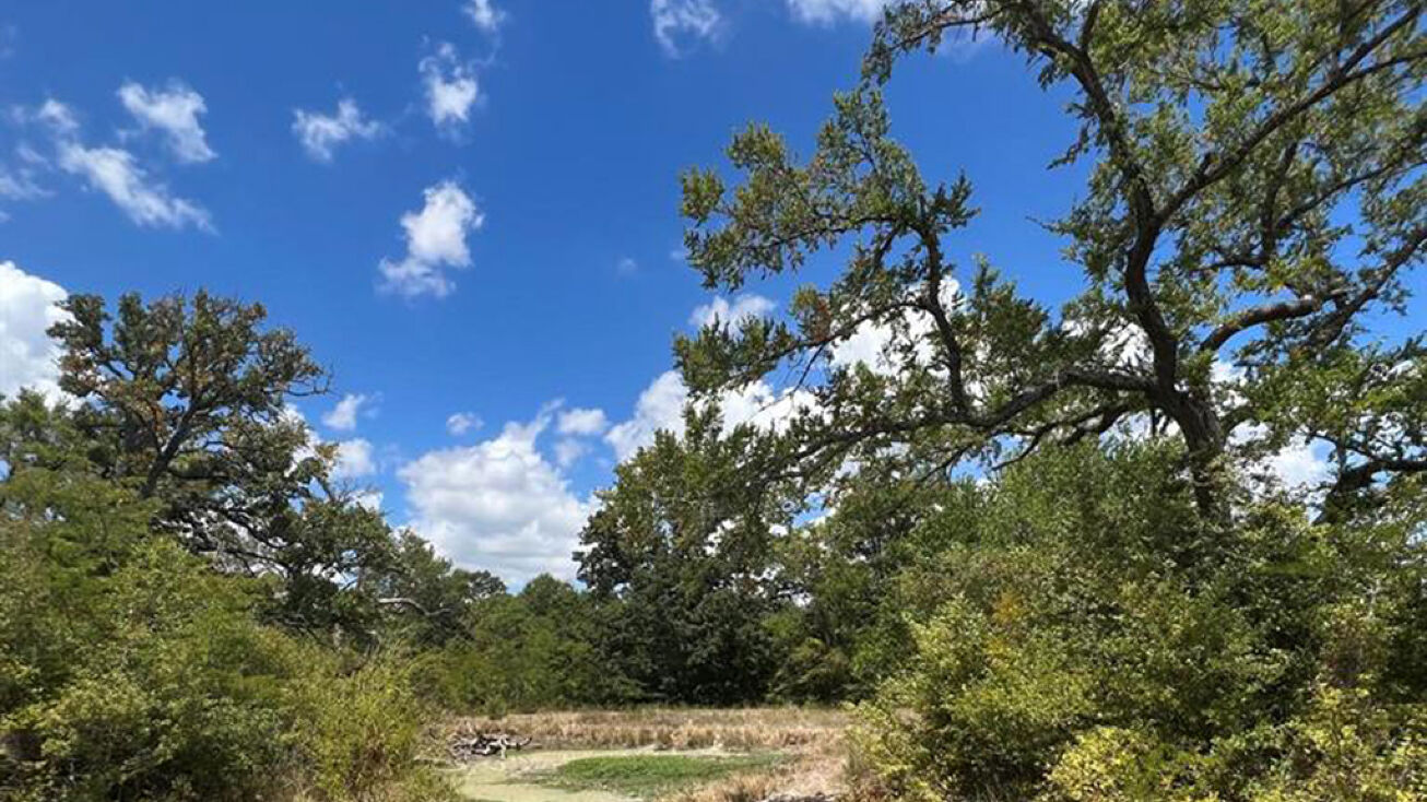 7561 Farm to Market Rd 2562, Richards, TX 77873