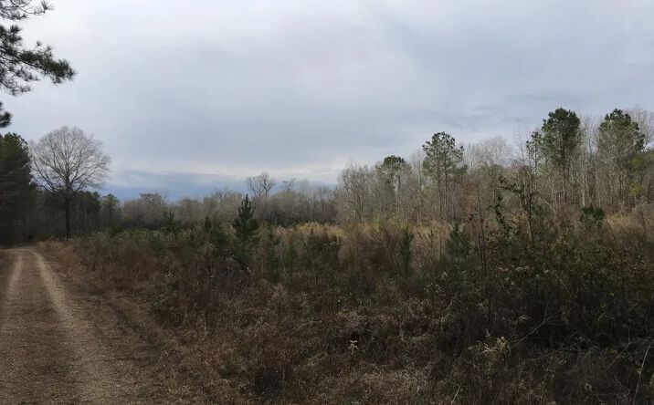 Pictures of Land property located at Split Creek, Crossett, AR 71635 for sales - image #1