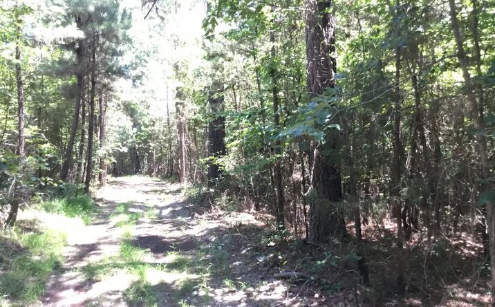 Pictures of Land property located at Bandy North East, Little Rock, AR 72223 for sales - image #1