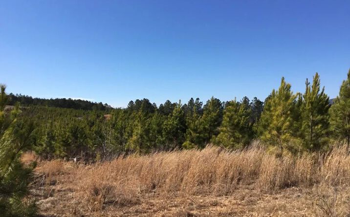 Pictures of Land property located at N Marble Church Rd, Hot Springs, AR 71949 for sales - image #1