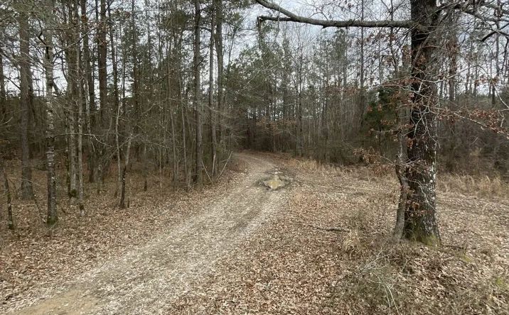 Pictures of Land property located at Bradshaw Brake, Star City, AR 71667 for sales - image #1