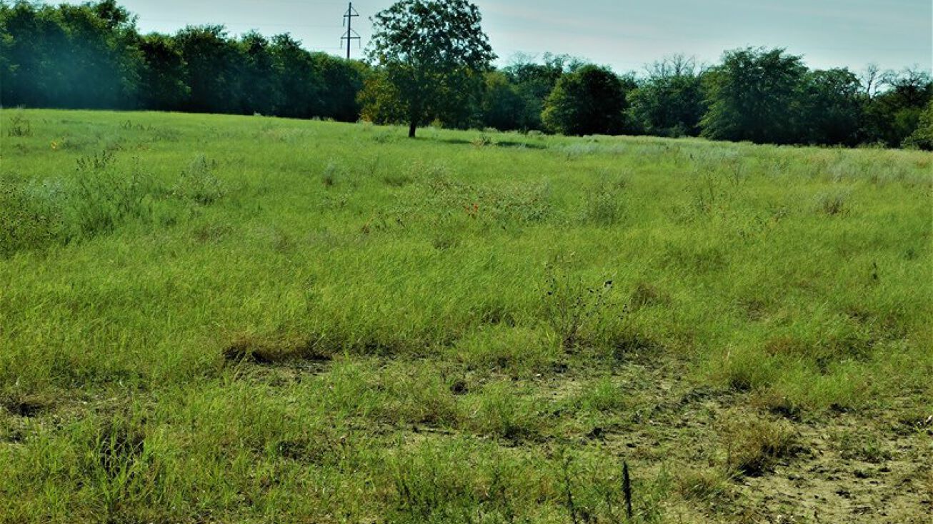 TBD Private Road, Cross Plains, TX 76443