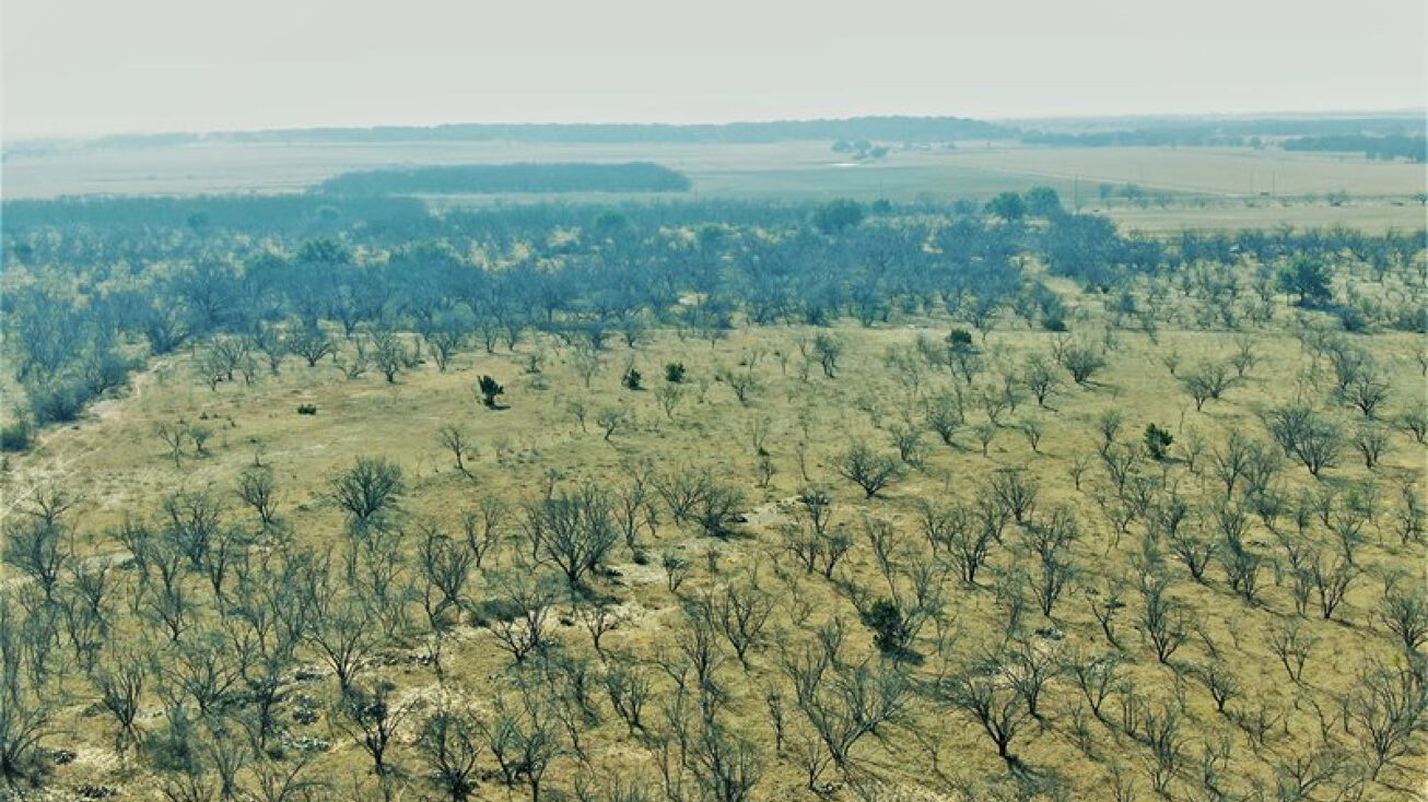 TBD CR 163, Bangs, TX 76823