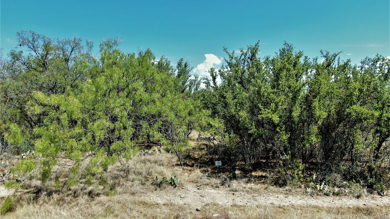 7519 Janda Ln, Brownwood, TX 76801 Land for Sale Lake Brownwood Lot