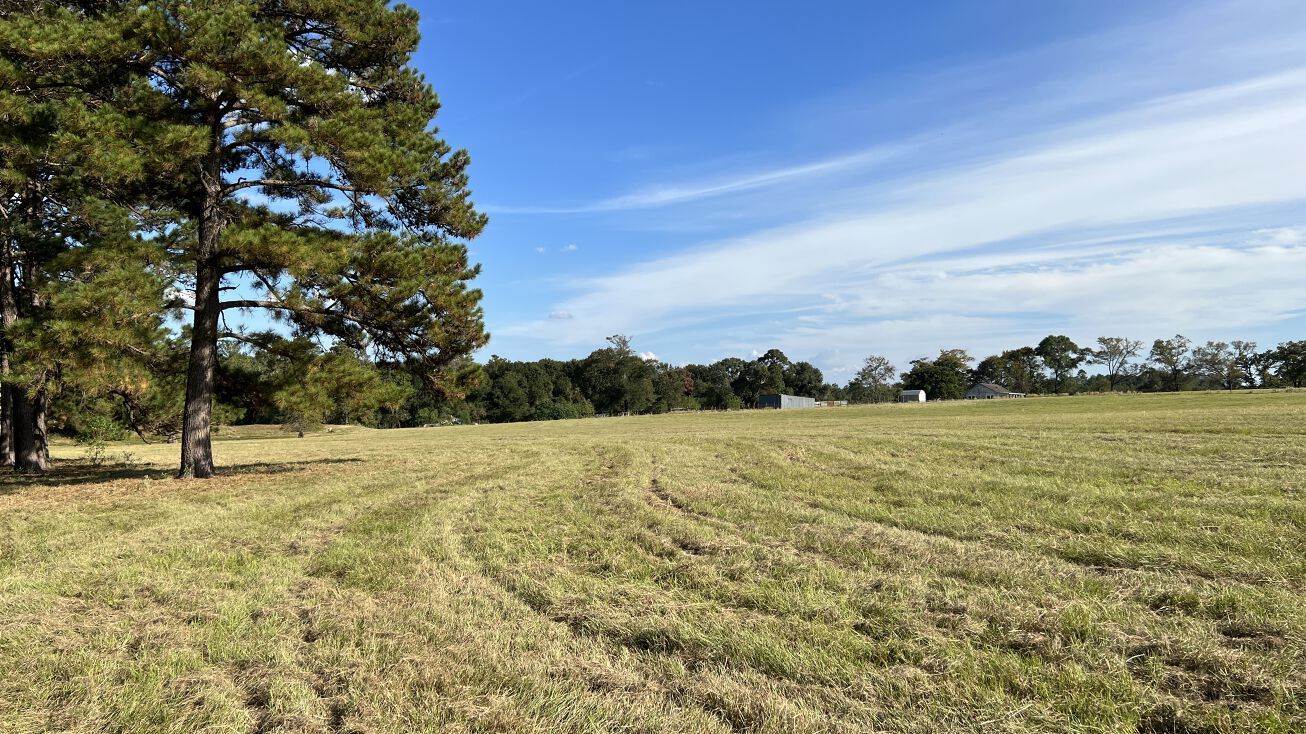 County Rd 344, Navasota, TX 77868