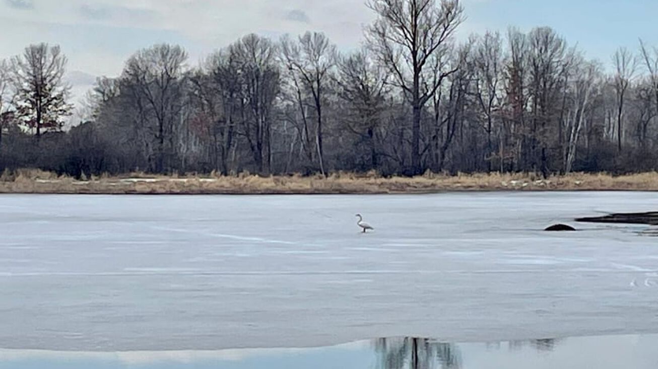 XXXX 140th Street, Amery, WI 54001