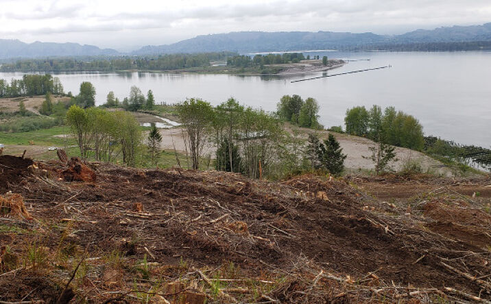 Pictures of Land property located at 93893 Clifton Rd, Clatskanie, OR 97016 for sales - image #1