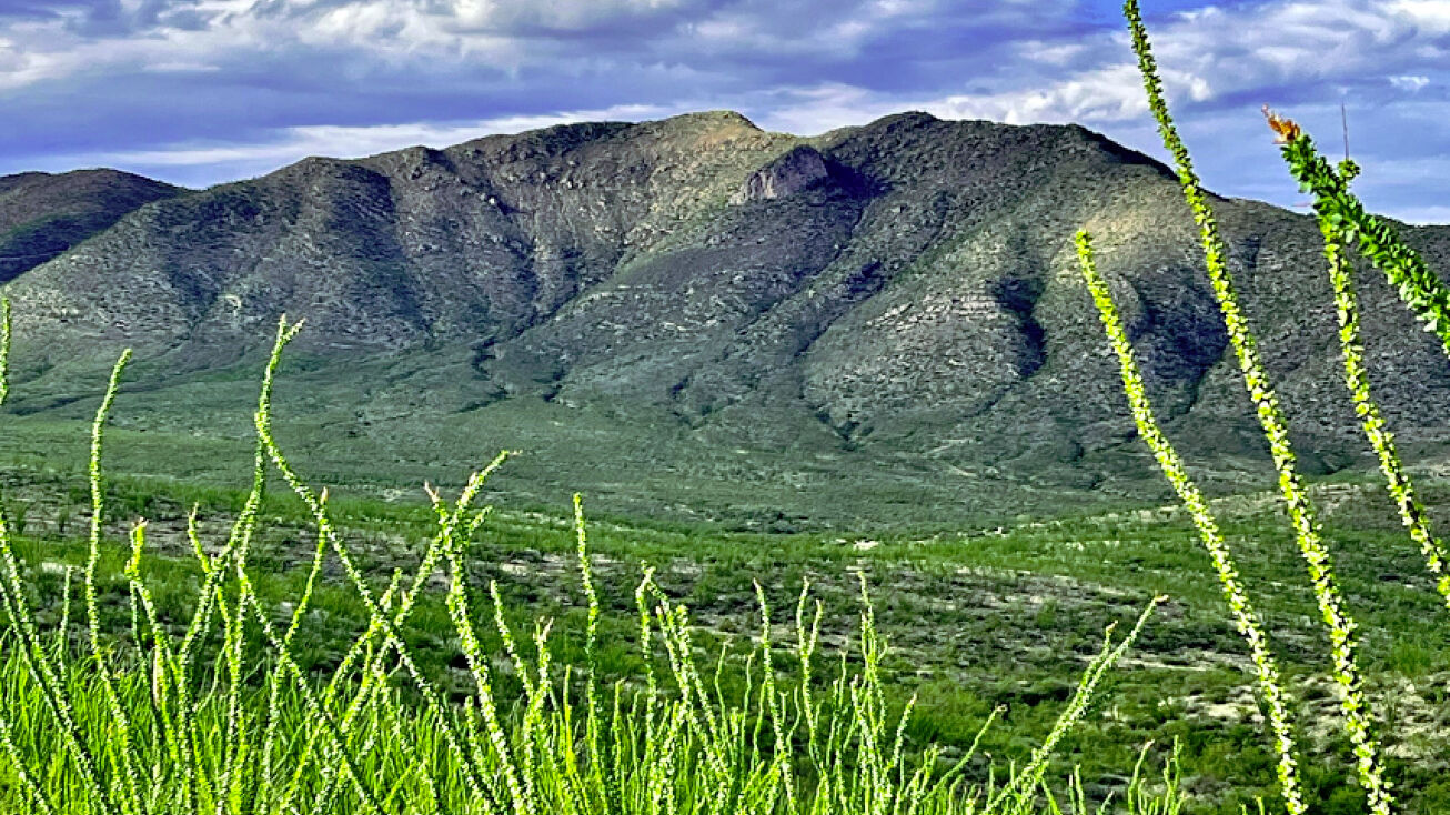 Bisbee Rd, Bisbee, AZ 85603