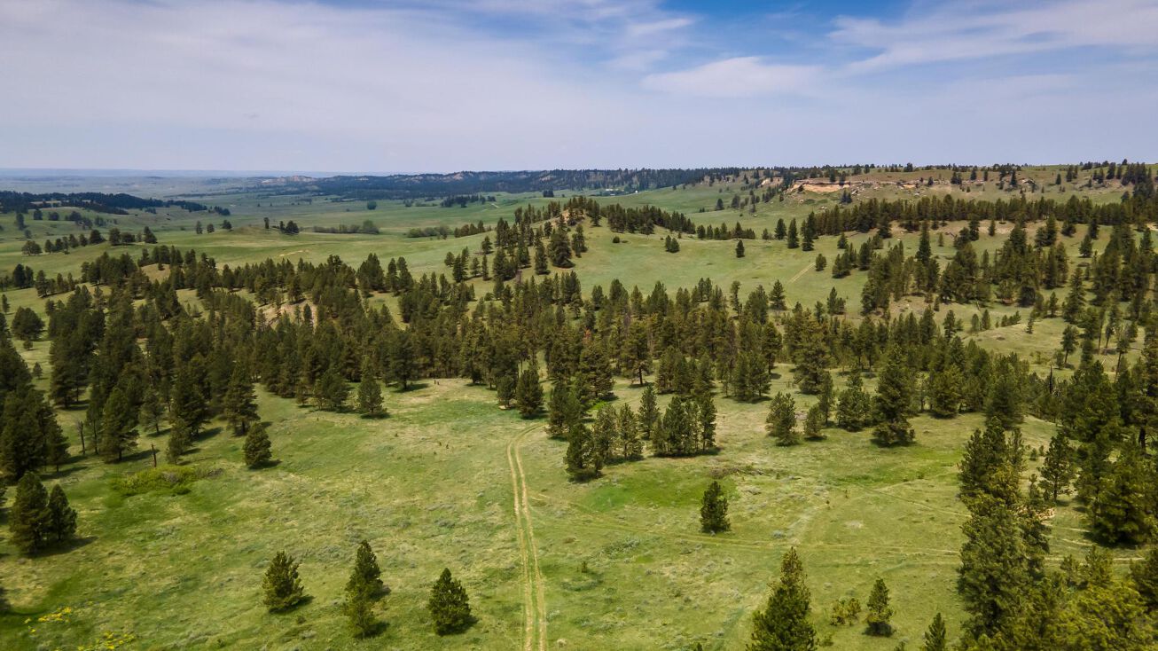 Tbd Reservation Creek Road, Forsyth, MT 59327 | Crexi.com