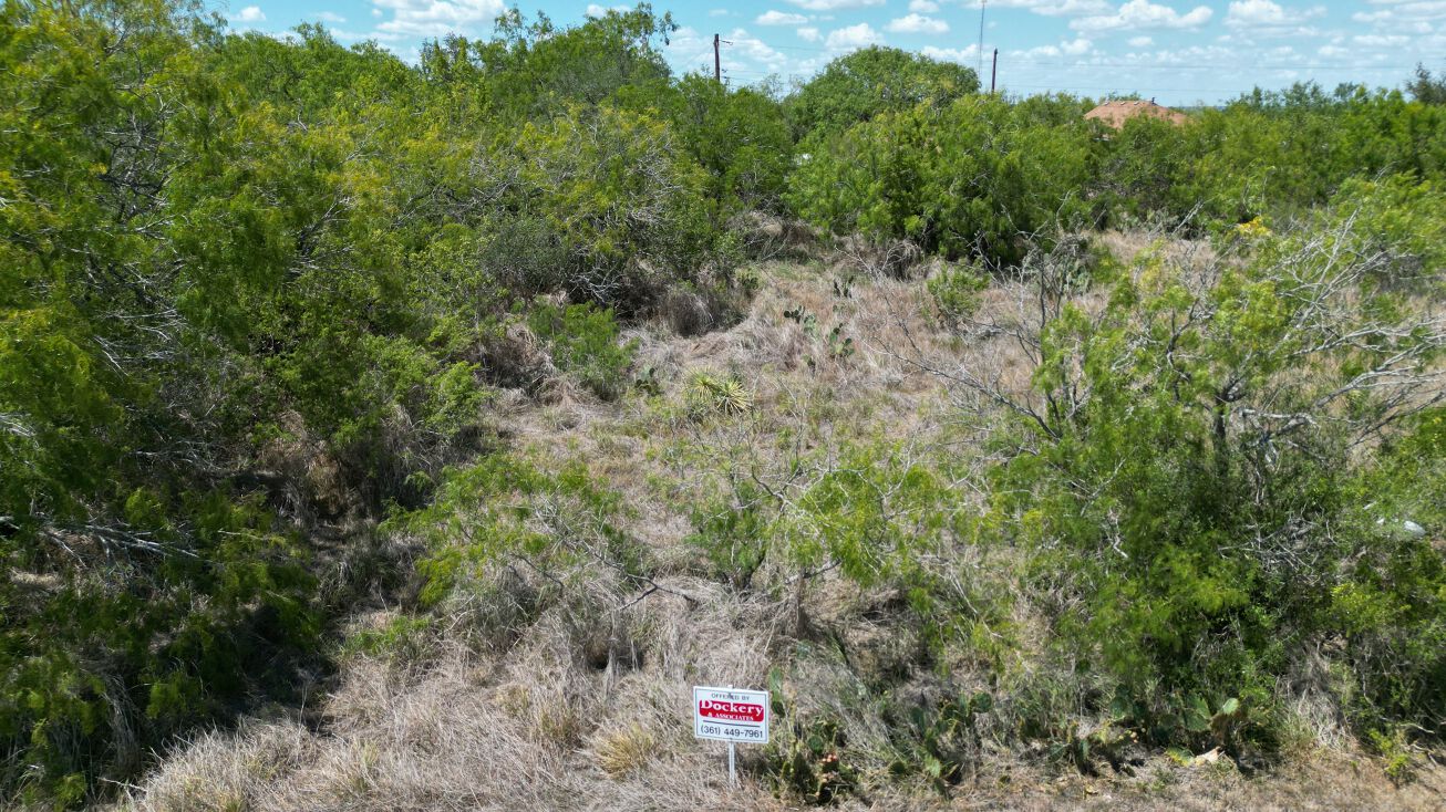 143 Tomahawk Dr, Sandia, TX 78383