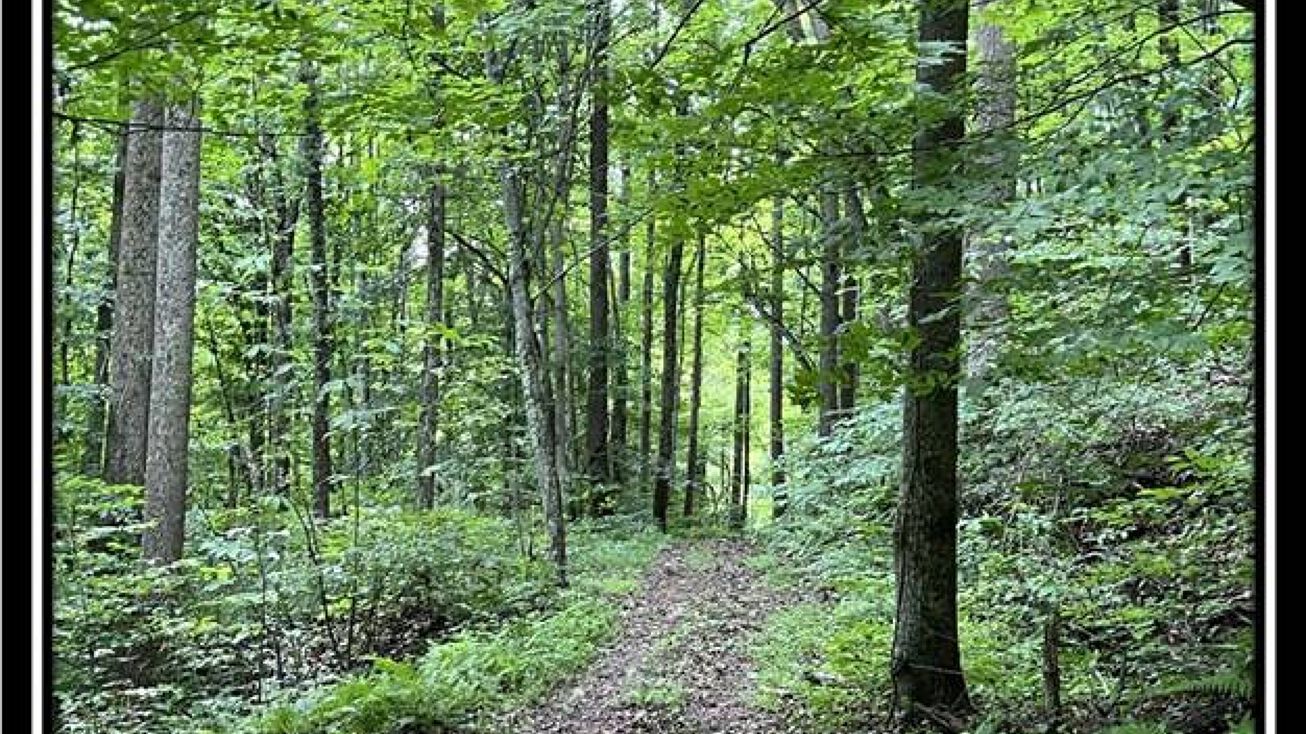 Old Union Rd, Ironton, OH 45638 Land for Sale Hunter’s Haven on Wayne