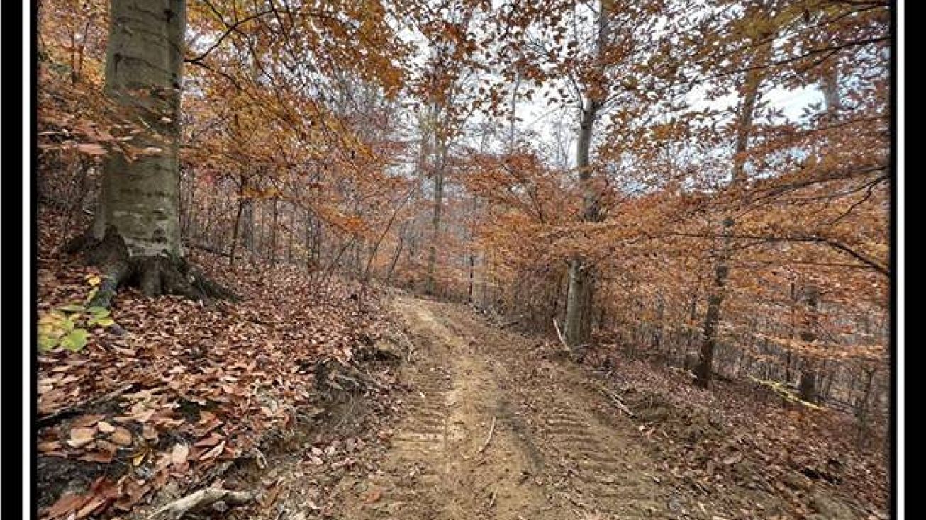 35648 Buck Run Rd, Langsville, OH 45741