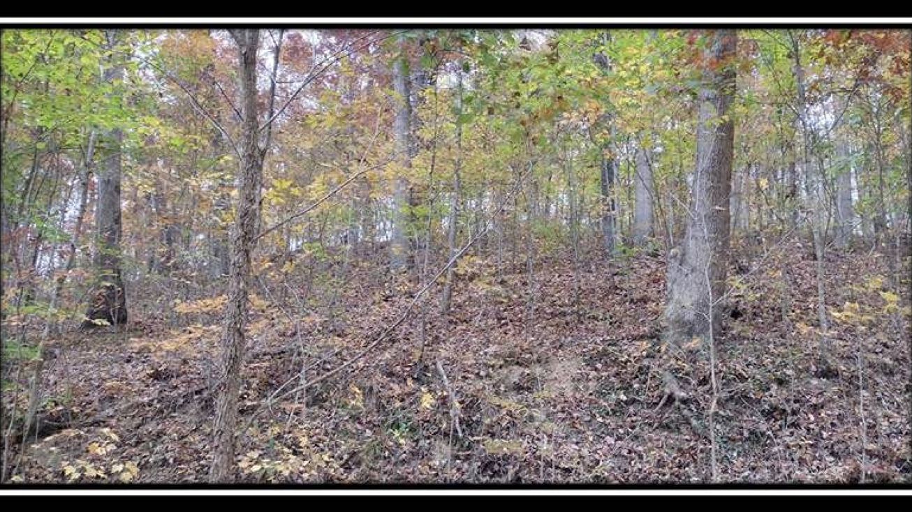 2169 Mohawk Coal Rd, Wellston, OH 45692