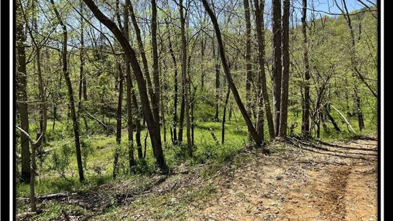 331 Sunfish Creek Rd, Piketon, OH 45661