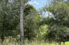 9562347