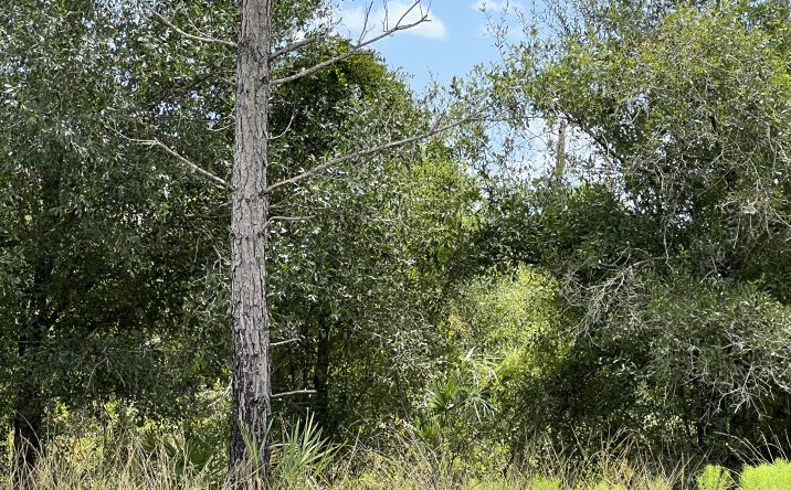 Pictures of Land property located at Deer Pl, North Port, FL 34269 for sales - image #1