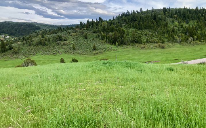 Pictures of Land property located at Angileen's Way, Lava Hot Springs, ID 83246 for sales - image #1