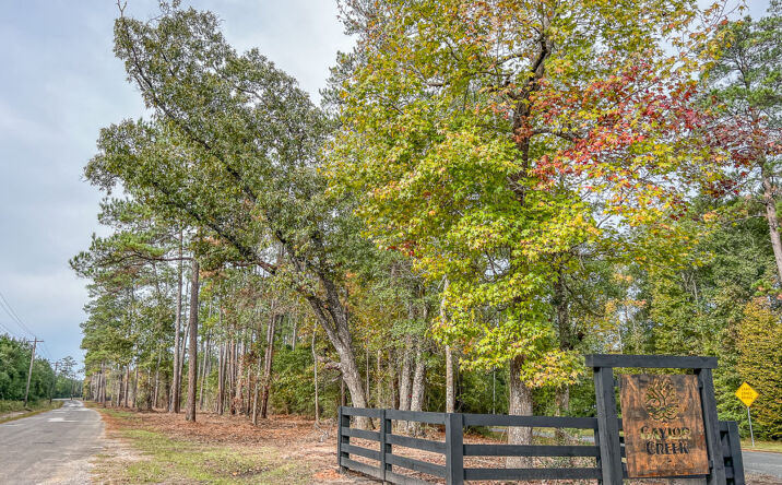 Pictures of Land property located at County Rd 2305S, Macedonia, TX 77327 for sales - image #1