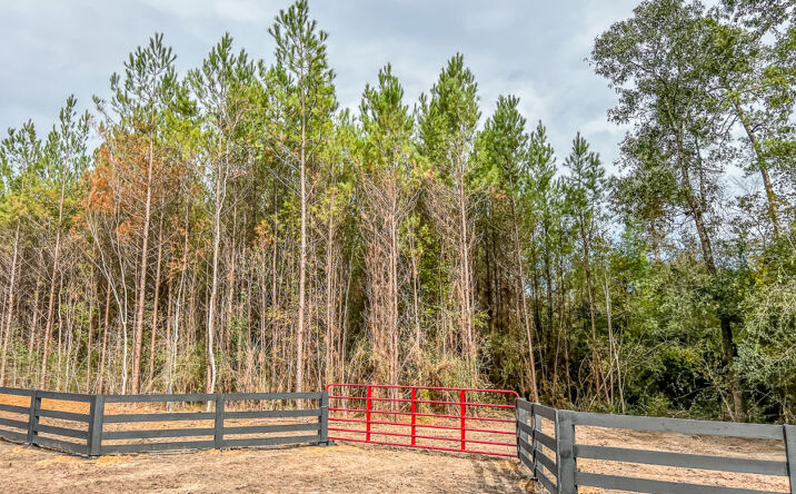 Pictures of Land property located at County Rd 2307, Macedonia, TX 77327 for sales - image #1
