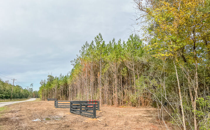 Pictures of Land property located at 018 County Rd 2307, Macedonia, TX 77327 for sales - image #1