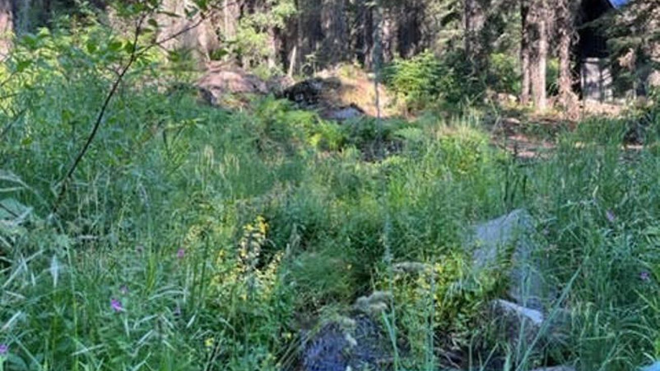 2435 Palladin Rd, Donnelly, ID 83615 Land for Sale 2435 Palladin