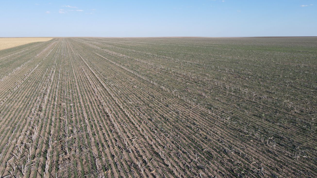 475 Acres Cropland, Scott City, KS 67871
