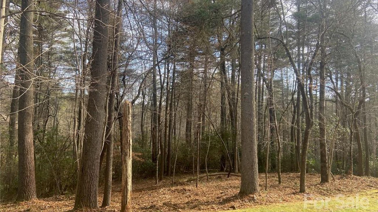 L43 Mountain Brook Trail 43, Brevard, NC 28712 Land for Sale L43