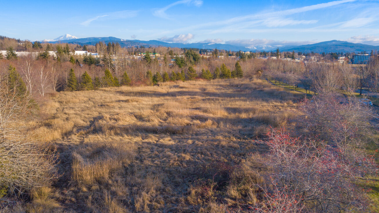 Cordata Pkwy, Bellingham, WA 98226