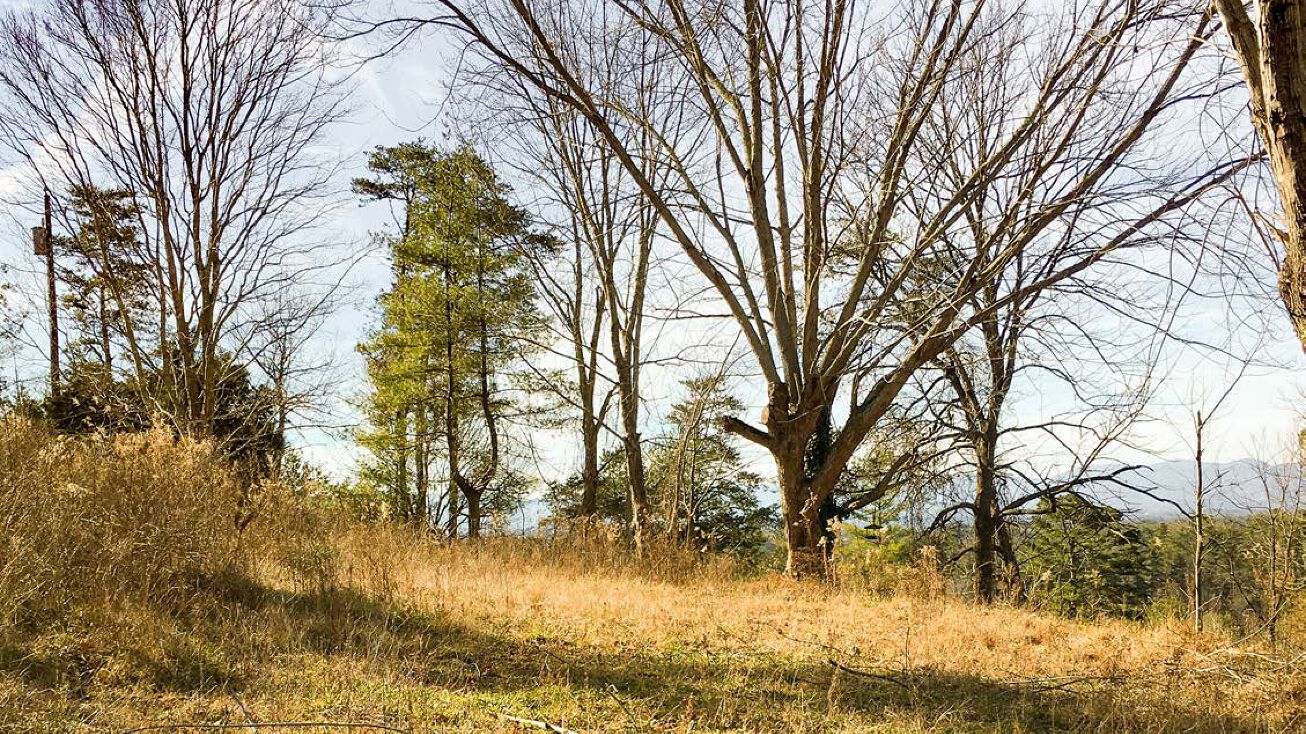 40 Doan Rd, Weaverville, NC 28787 Land for Sale 40 Doan Rd