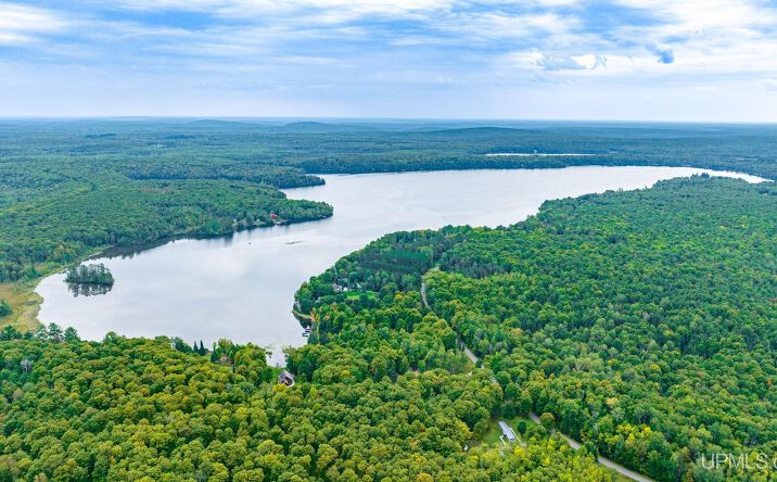 Pictures of Land property located at TBD Hagerman Lake Rd, Iron River, MI 49935 for sales - image #1